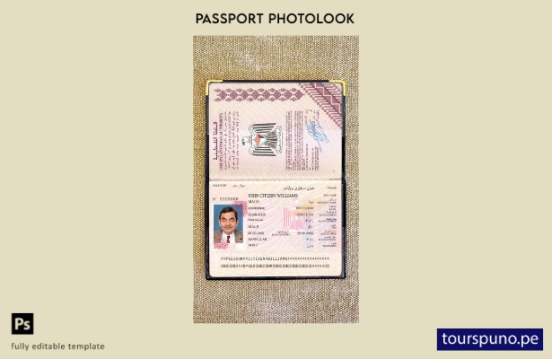 Plantilla de apariencia de fotografía de pasaporte palestino lista para imprimir